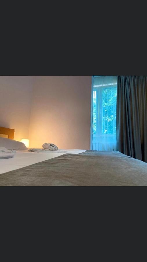 Manea Orsova Hotel Buitenkant foto