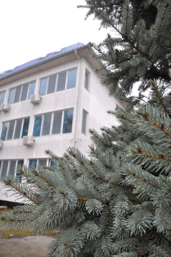 Manea Orsova Hotel Buitenkant foto